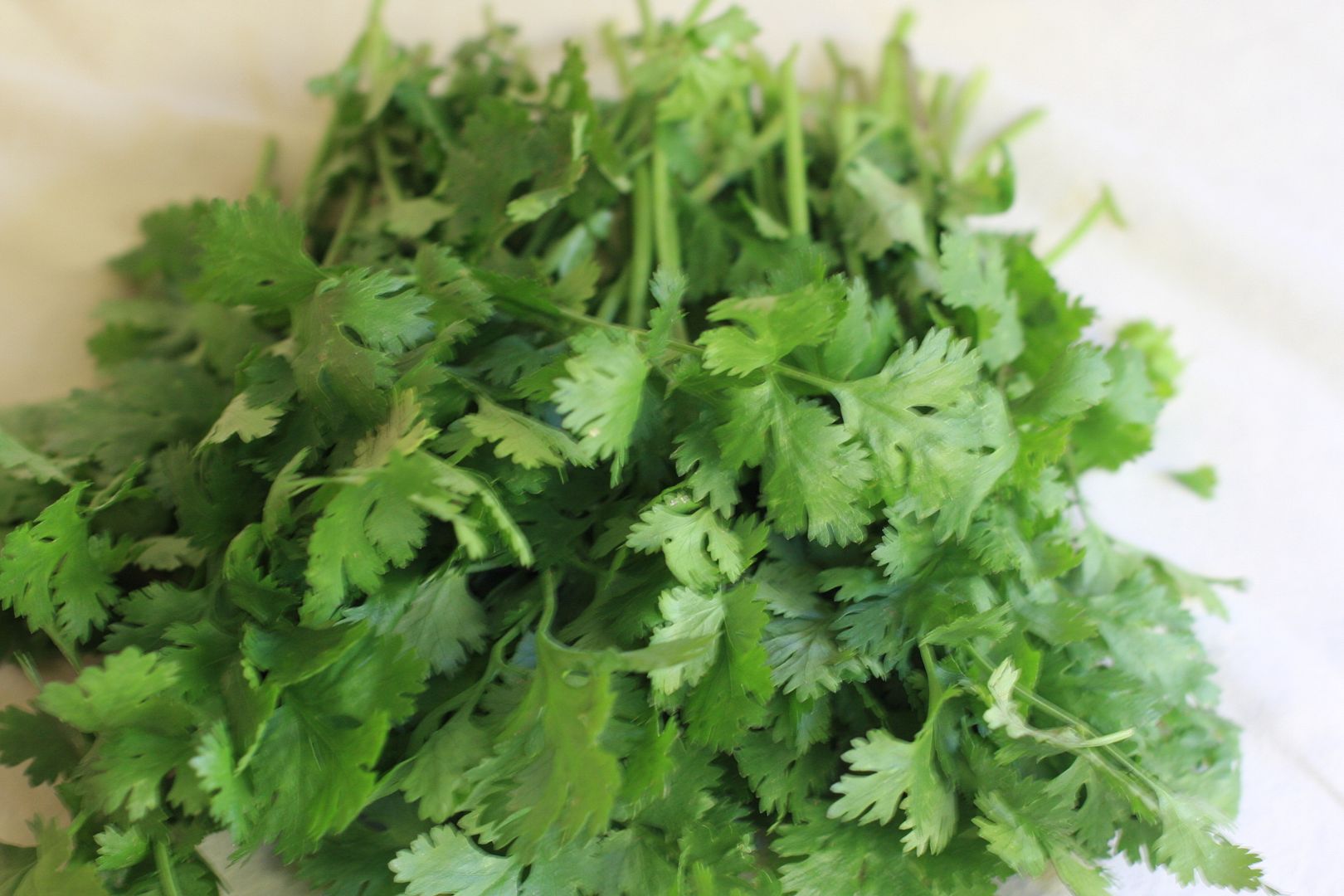 Coriander leaves Rice Kothamalli Sadham Daily Musings Everyday